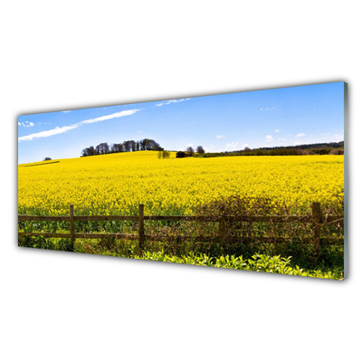 Glasbild aus Plexiglas® Acker Landschaft