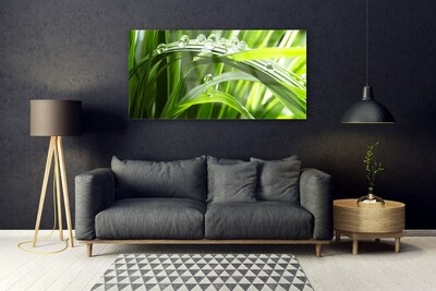 Glasbild aus Plexiglas® Gras Wassertropfen Natur