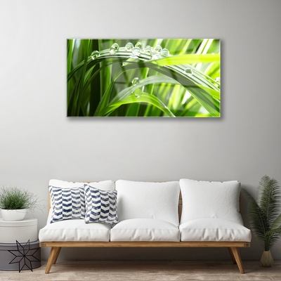 Glasbild aus Plexiglas® Gras Wassertropfen Natur