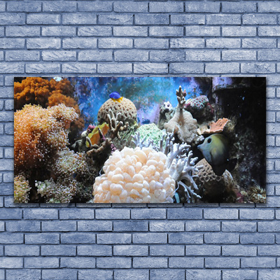 Glasbild aus Plexiglas® Korallenriff Natur