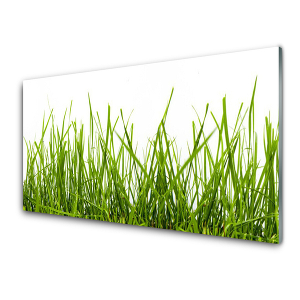 Glasbild aus Plexiglas® Gras Natur