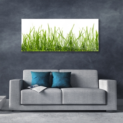 Glasbild aus Plexiglas® Gras Natur