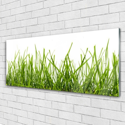 Glasbild aus Plexiglas® Gras Natur