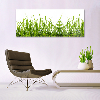 Glasbild aus Plexiglas® Gras Natur