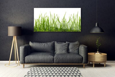 Glasbild aus Plexiglas® Gras Natur