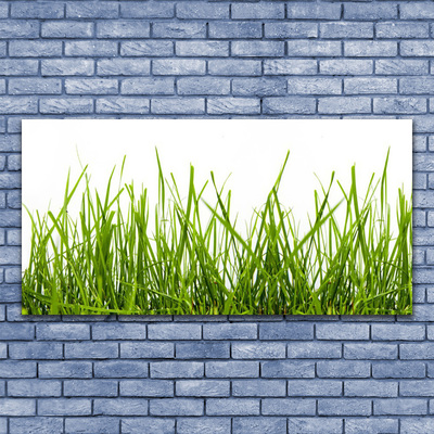 Glasbild aus Plexiglas® Gras Natur