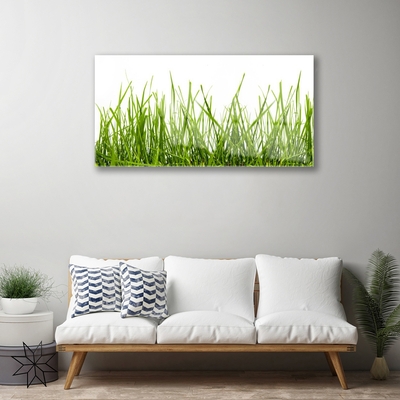 Glasbild aus Plexiglas® Gras Natur