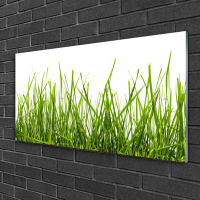 Glasbild aus Plexiglas® Gras Natur