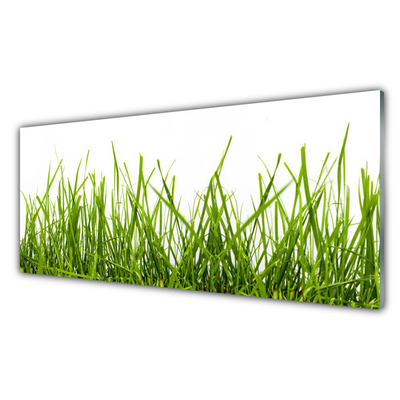 Glasbild aus Plexiglas® Gras Natur