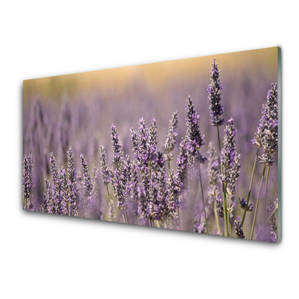 Glasbild aus Plexiglas® Blumen Pflanzen