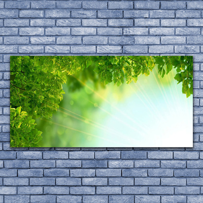 Glasbild aus Plexiglas® Blätter Natur