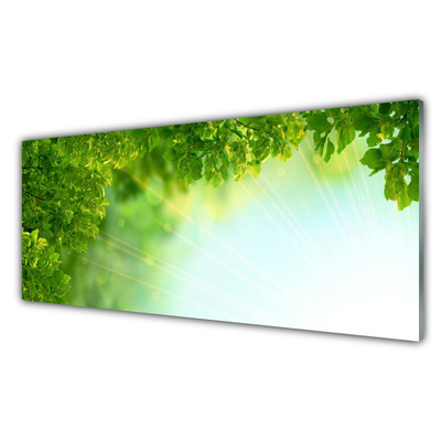 Glasbild aus Plexiglas® Blätter Natur