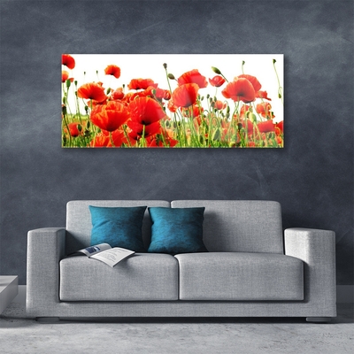 Glasbild aus Plexiglas® Mohnblumen Natur