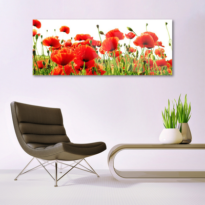 Glasbild aus Plexiglas® Mohnblumen Natur