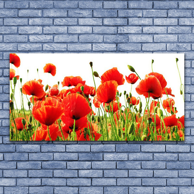 Glasbild aus Plexiglas® Mohnblumen Natur