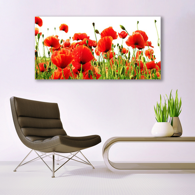 Glasbild aus Plexiglas® Mohnblumen Natur