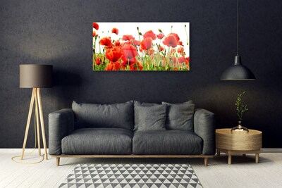 Glasbild aus Plexiglas® Mohnblumen Natur