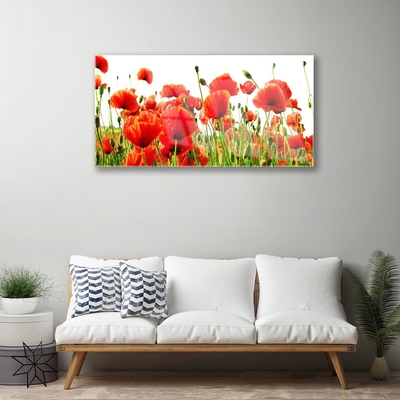 Glasbild aus Plexiglas® Mohnblumen Natur