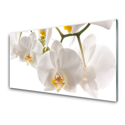 Glasbild aus Plexiglas® Blumen Pflanzen