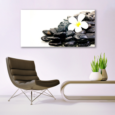 Glasbild aus Plexiglas® Blume Steine Kunst