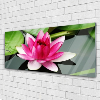 Glasbild aus Plexiglas® Blume Pflanzen