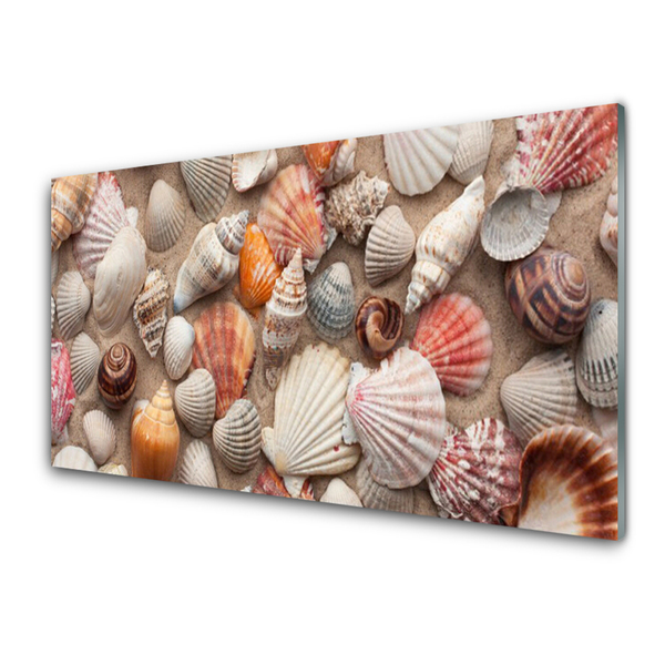 Glasbild aus Plexiglas® Muscheln Kunst