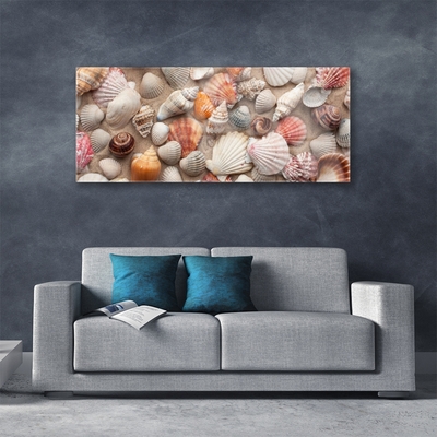 Glasbild aus Plexiglas® Muscheln Kunst