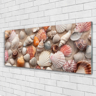 Glasbild aus Plexiglas® Muscheln Kunst