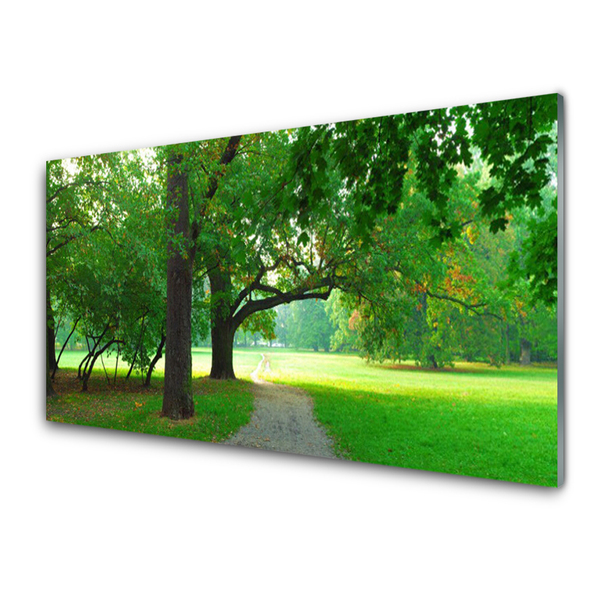 Glasbild aus Plexiglas® Fußpfad Bäume Natur