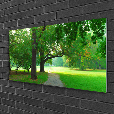 Glasbild aus Plexiglas® Fußpfad Bäume Natur