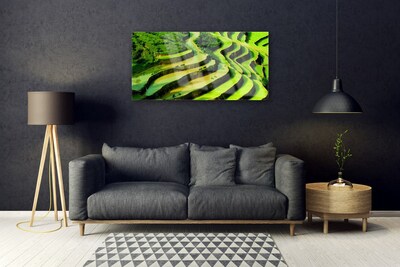 Glasbild aus Plexiglas® Wald Natur