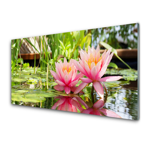 Glasbild aus Plexiglas® Blumen Pflanzen