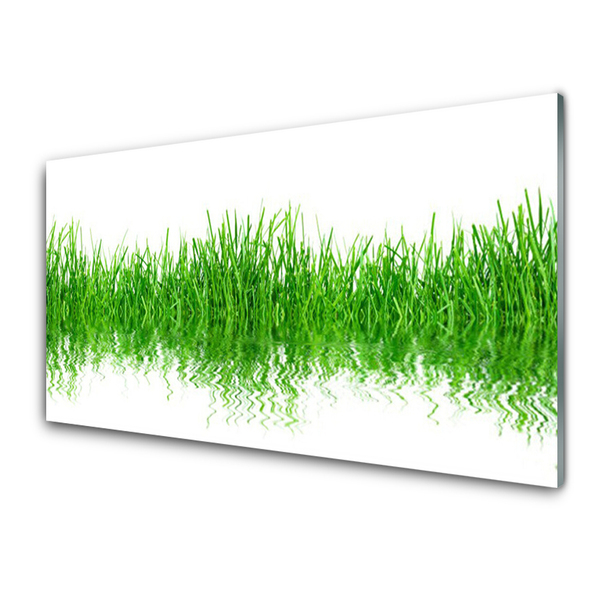 Glasbild aus Plexiglas® Gras Natur