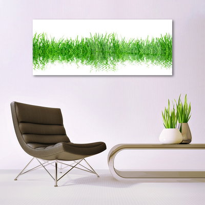 Glasbild aus Plexiglas® Gras Natur