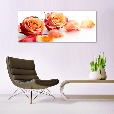 Glasbild aus Plexiglas® Rosen Pflanzen