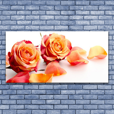 Glasbild aus Plexiglas® Rosen Pflanzen