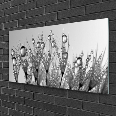 Glasbild aus Plexiglas® Abstrakt Pflanzen