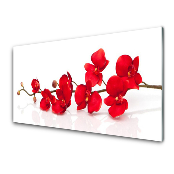 Glasbild aus Plexiglas® Blumen Pflanzen