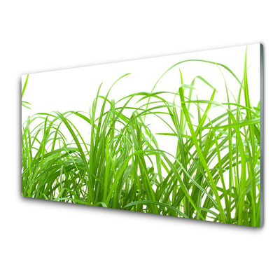 Glasbild aus Plexiglas® Gras Natur