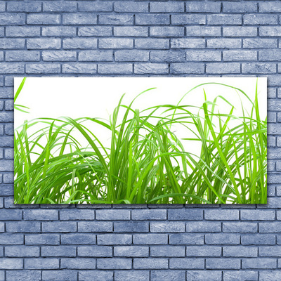 Glasbild aus Plexiglas® Gras Natur