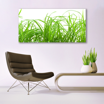 Glasbild aus Plexiglas® Gras Natur