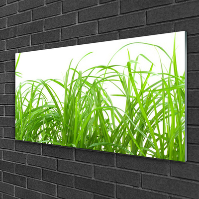 Glasbild aus Plexiglas® Gras Natur