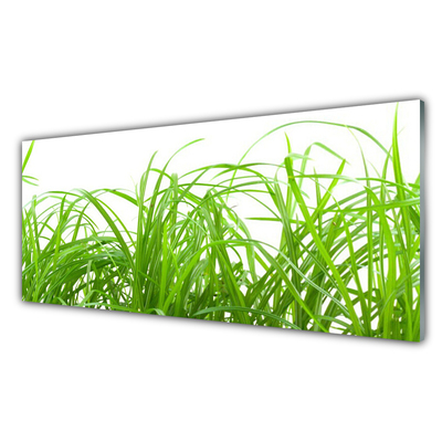 Glasbild aus Plexiglas® Gras Natur