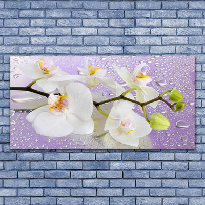 Glasbild aus Plexiglas® Blumen Pflanzen