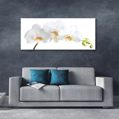 Glasbild aus Plexiglas® Blumen Pflanzen