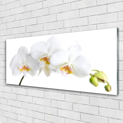 Glasbild aus Plexiglas® Blumen Pflanzen