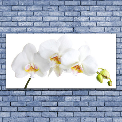 Glasbild aus Plexiglas® Blumen Pflanzen