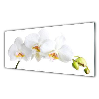 Glasbild aus Plexiglas® Blumen Pflanzen