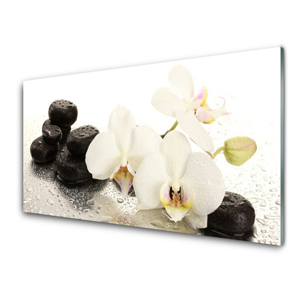 Glasbild aus Plexiglas® Blumen Steine Pflanzen