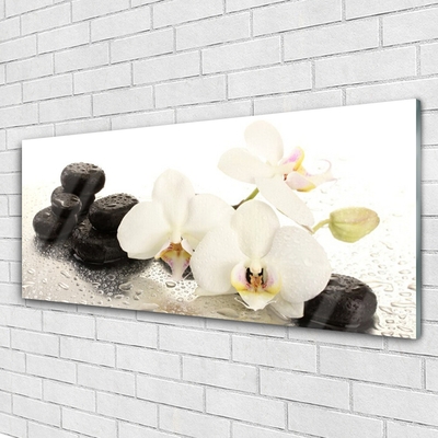 Glasbild aus Plexiglas® Blumen Steine Pflanzen